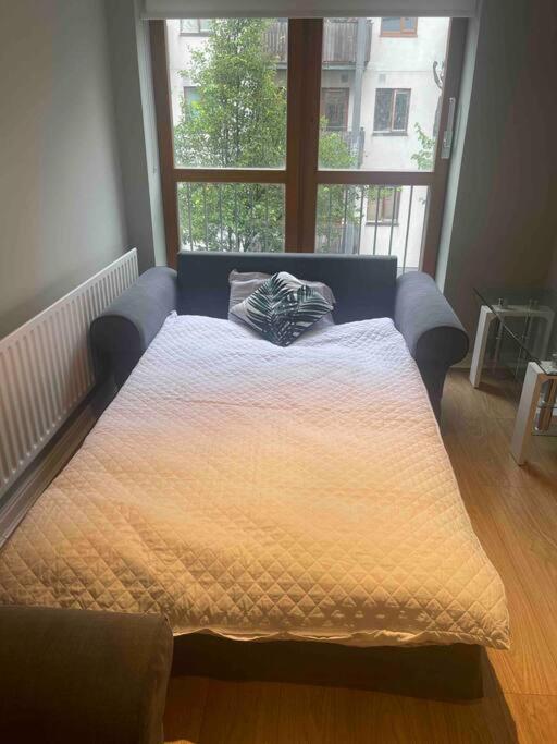 In Dublin'S Best Tourist Spot Temple Bar Fully Renovated Екстер'єр фото