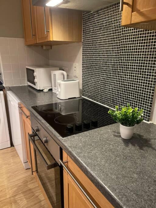 In Dublin'S Best Tourist Spot Temple Bar Fully Renovated Екстер'єр фото